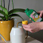 Pokon Orchidee Voeding sfeer